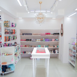 Aline Sodre Store