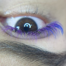 Ani Lashes Makeup