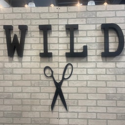 Hair With Lisa Wild