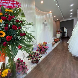 Ngoc Anh Studio