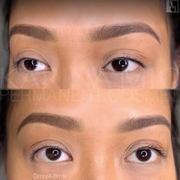Karina Michele Permanent Cosmetics