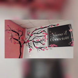 Salón de belleza Nueva.Creación