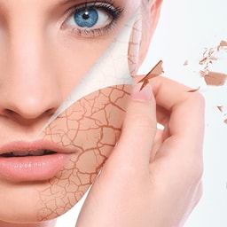Hoitola Face & Body