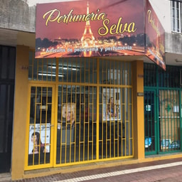Perfumeria Selva Primera Junta