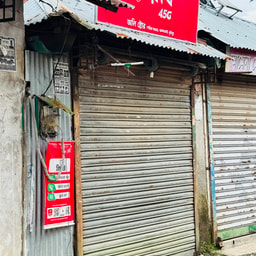 Oli store and cosmetics