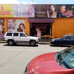 Distribuidora Jelipes