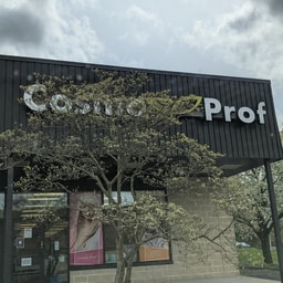 Cosmo Prof
