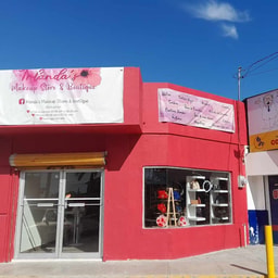 Irlanda's Makeup Store Suc. San Rafael