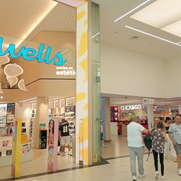 Wells