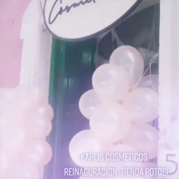 Karlis Cosmeticos Potosi