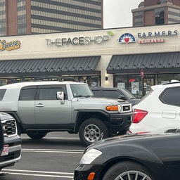 The Face Shop