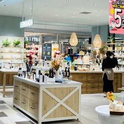 Fernanda Amu Plaza Kumamoto