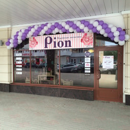 PION