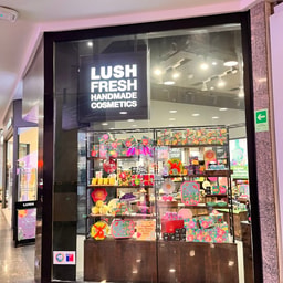 Lush Alto Las Condes
