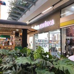 Línea Estética