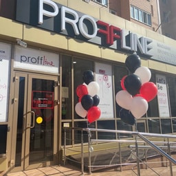 PROFFLINE