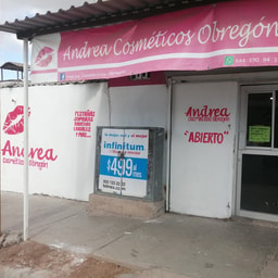Andrea Cosmeticos Obregon