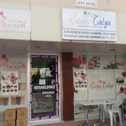 Antalya Palet