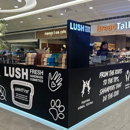 Lush Fresh Handmade Cosmetics