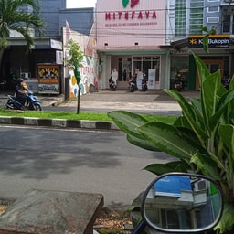 Mitufaya Sawojajar